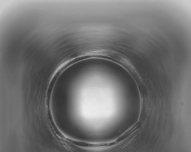 X0000054411328200508051729