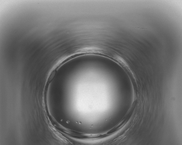 X0000054411336200508051730