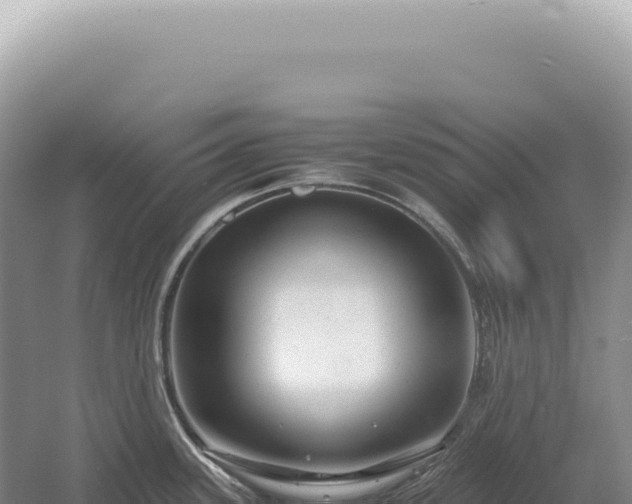 X0000054411339200508051730