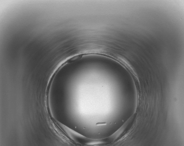 X0000054411340200508051730