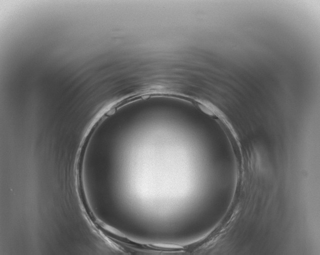X0000054411341200508051730