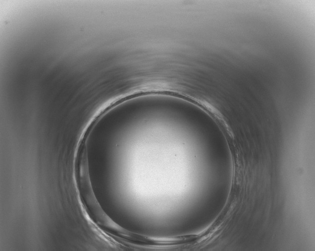 X0000054411342200508051730