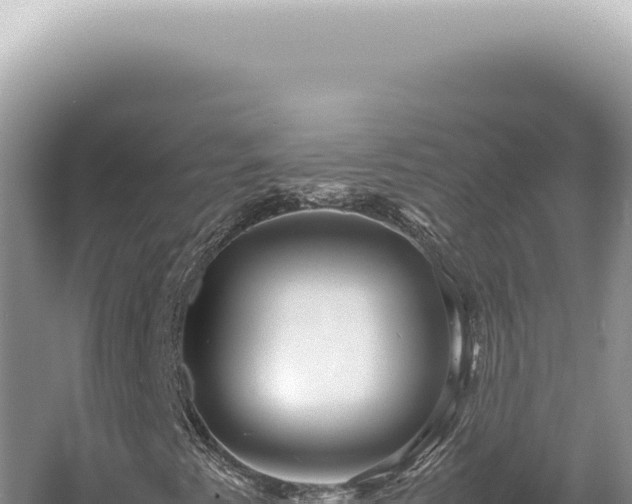 X0000054411345200508051729