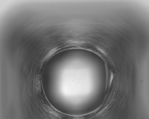 X0000054411354200508051729