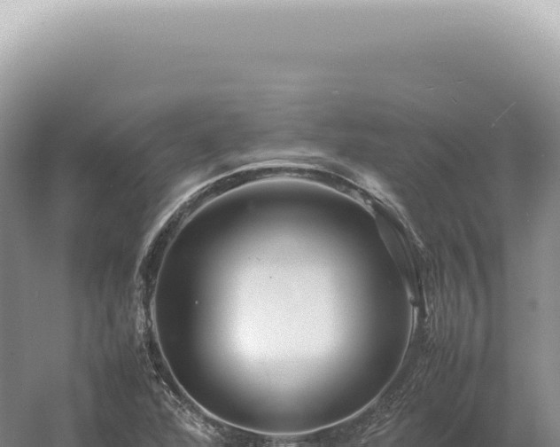 X0000054411360200508051729