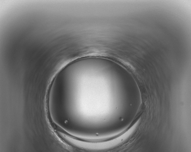 X0000054411375200508051728