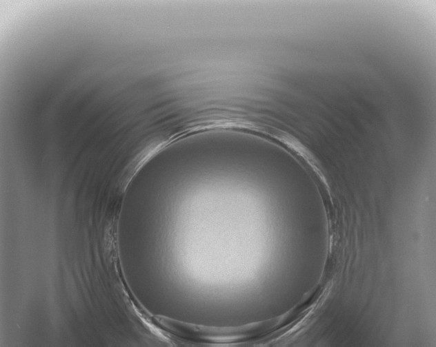 X0000054411385200508051728