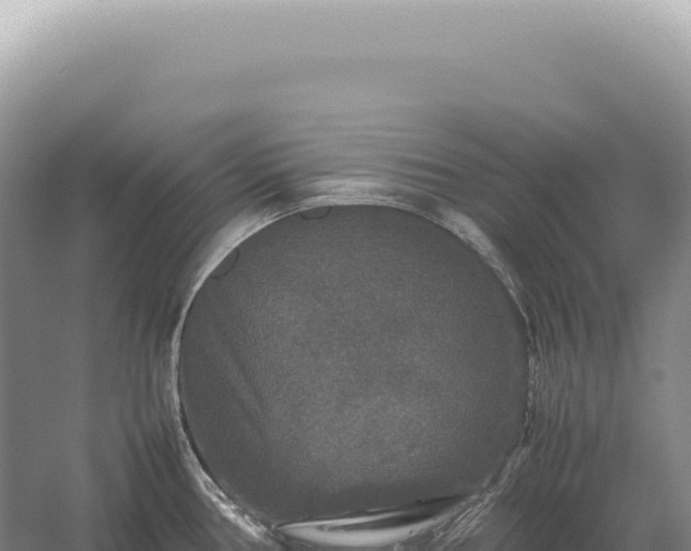 X0000054411386200508051728