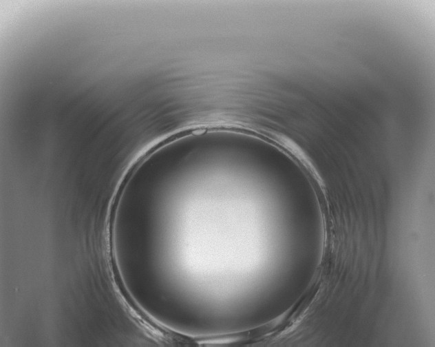 X0000054411388200508051728
