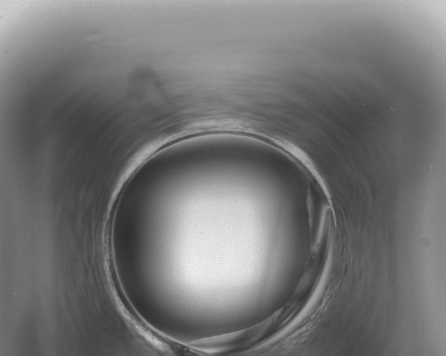 X0000054411389200508051728