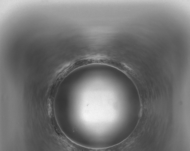X0000054411398200508051727