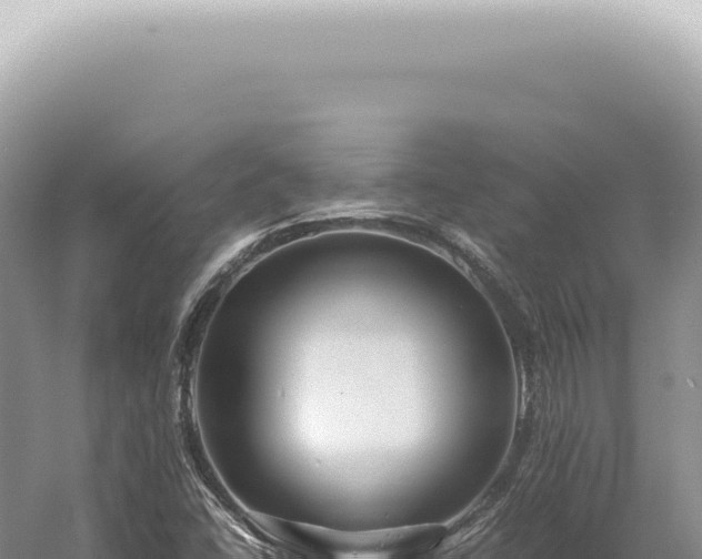 X0000054411406200508051728