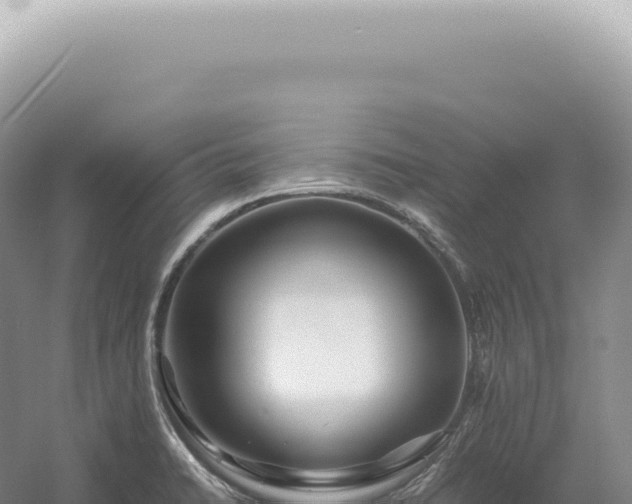 X0000054411422200508051728
