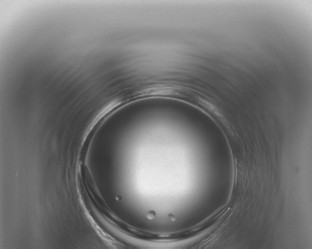 X0000054411426200508051728