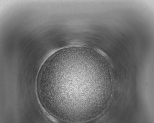 X0000054411431200508051728