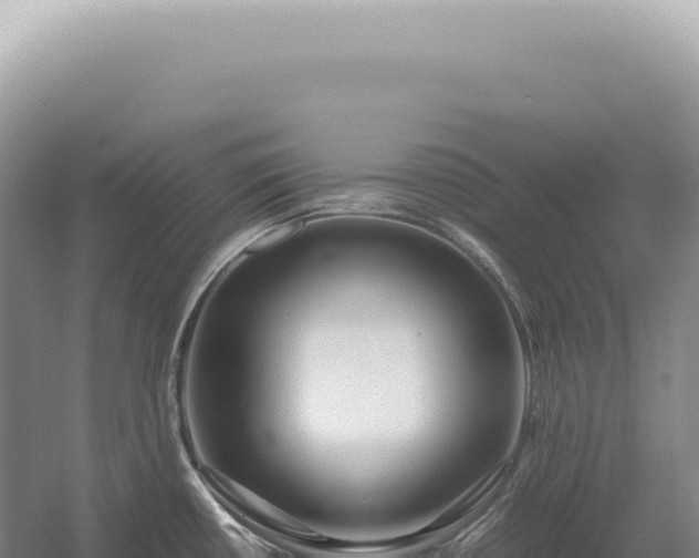 X0000054411434200508051728