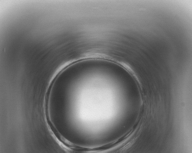 X0000054411438200508051728