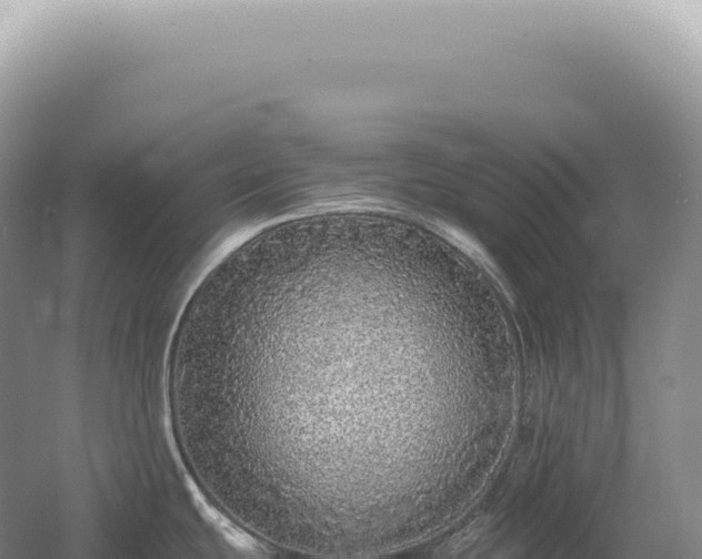X0000054411439200508051728