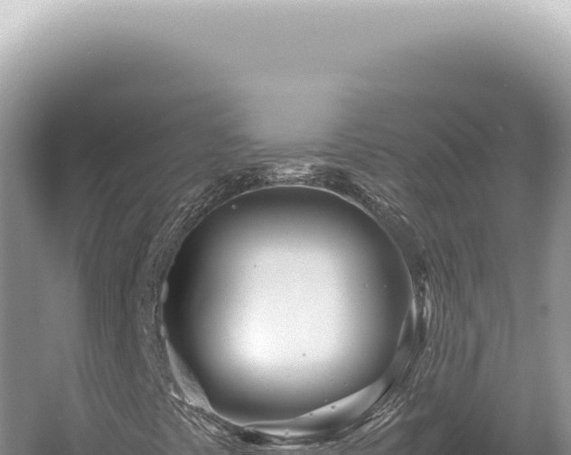 X0000054411441200508051727