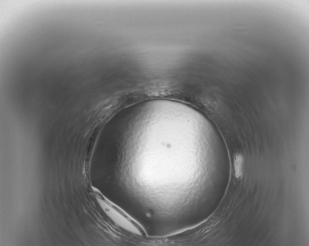 X0000054411444200508051727