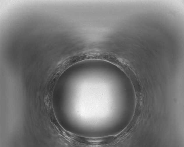 X0000054411445200508051727
