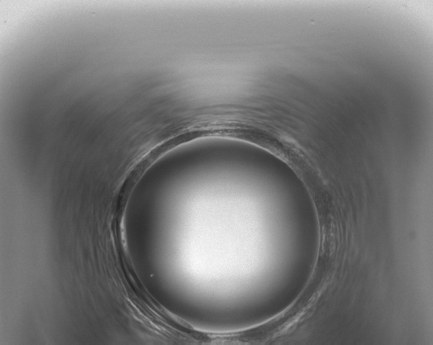 X0000054411449200508051727