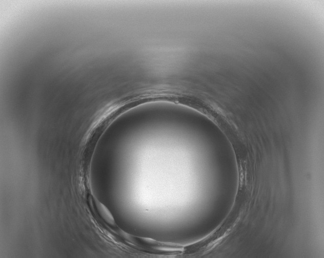 X0000054411453200508051727