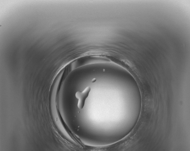 X0000054411465200508051727