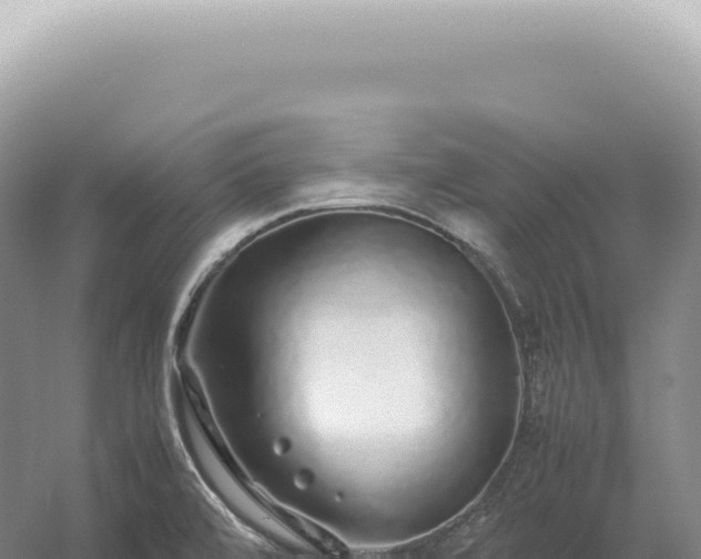 X0000054411472200508051727