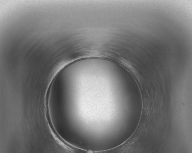 X0000054411479200508051727