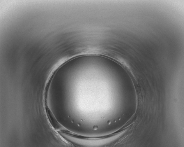X0000054411480200508051727