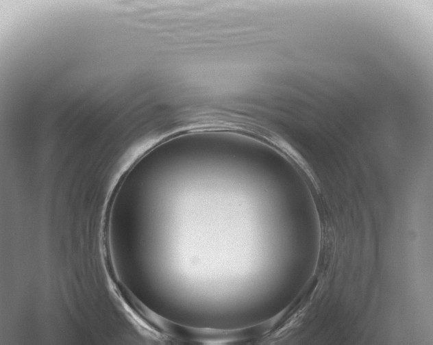 X0000054411485200508051727