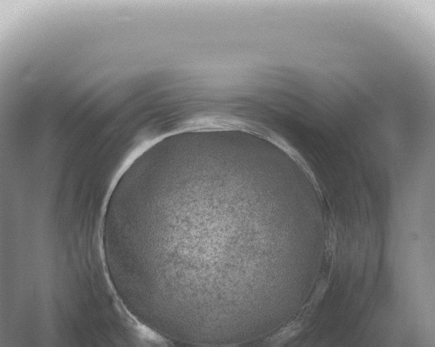 X0000054411486200508051727