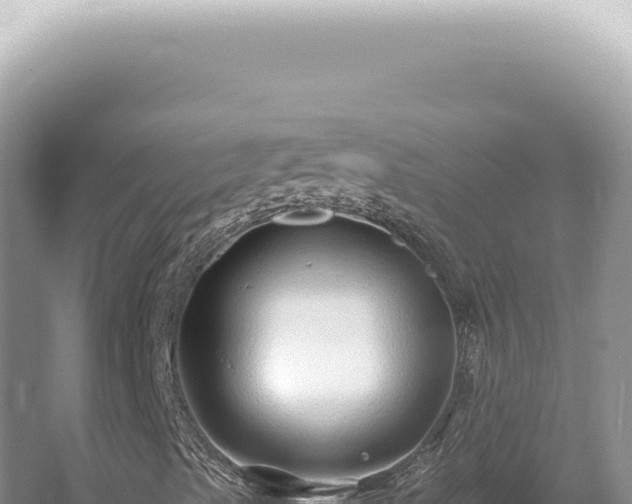 X0000054411489200508051726