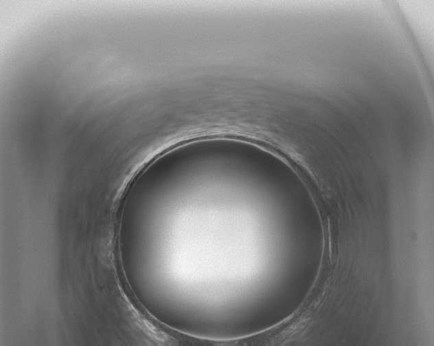 X0000054411500200508051726