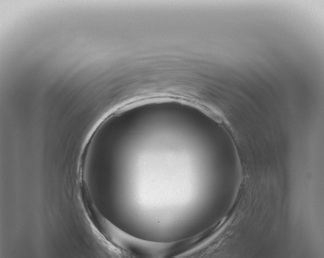 X0000054411524200508051726