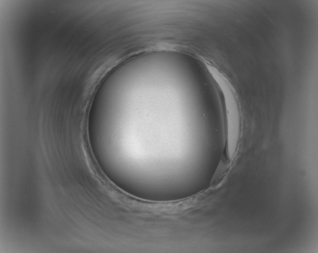 X0000054410001200508121737