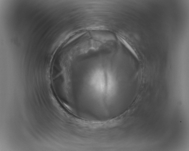 X0000054410002200508121737