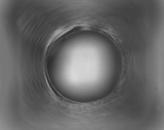 X0000054410003200508121737