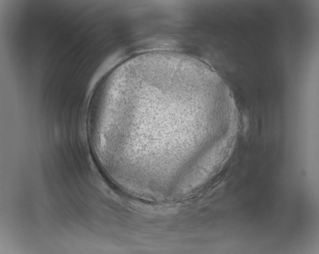 X0000054410004200508121737
