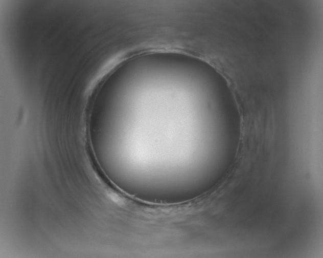 X0000054410005200508121737