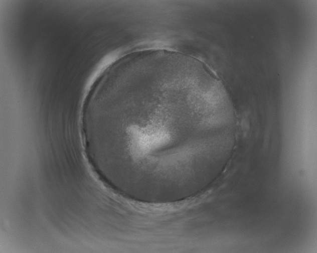 X0000054410006200508121737