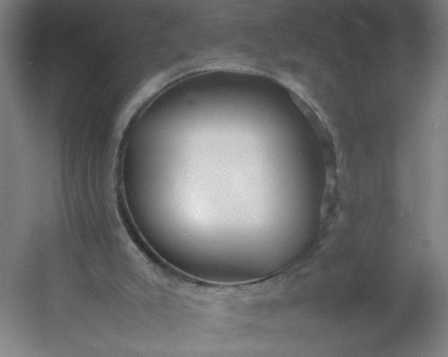 X0000054410007200508121737
