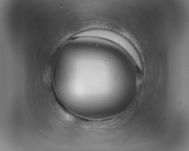 X0000054410009200508121737
