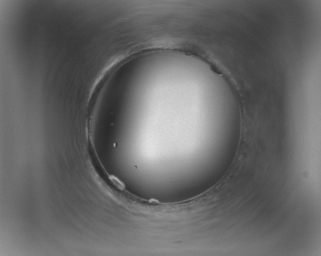 X0000054410011200508121737