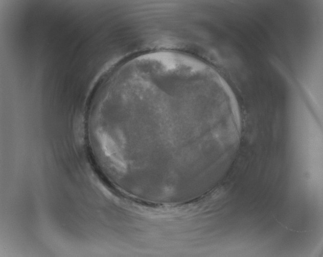 X0000054410012200508121737