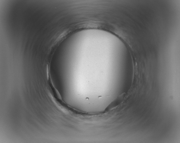 X0000054410013200508121737