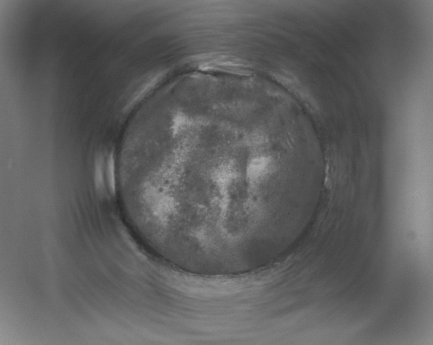 X0000054410014200508121737