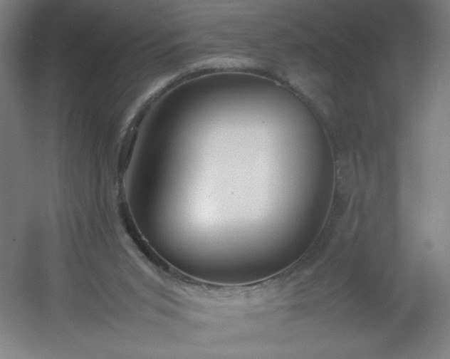 X0000054410015200508121737