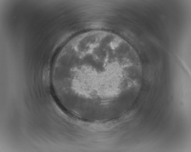 X0000054410016200508121737